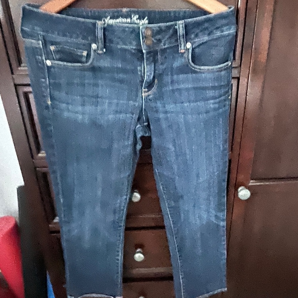 AMERICAN EAGLE  “ ARTIST”